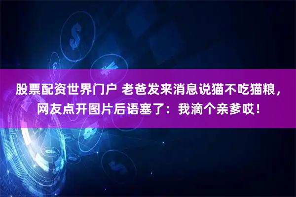 股票配资世界门户 老爸发来消息说猫不吃猫粮,网友点开图片后语塞了:我滴个亲爹哎!