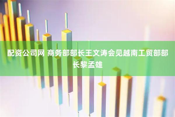 配资公司网 商务部部长王文涛会见越南工贸部部长黎孟雄