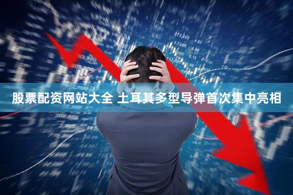 股票配资网站大全 土耳其多型导弹首次集中亮相