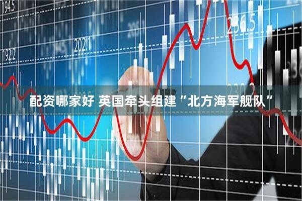 配资哪家好 英国牵头组建“北方海军舰队”